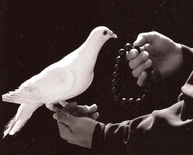 Vững tin vào điều thiện